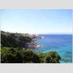 capo testa